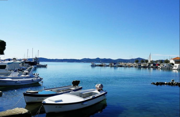 Dellapasqua 11 DC | Della Pasqua