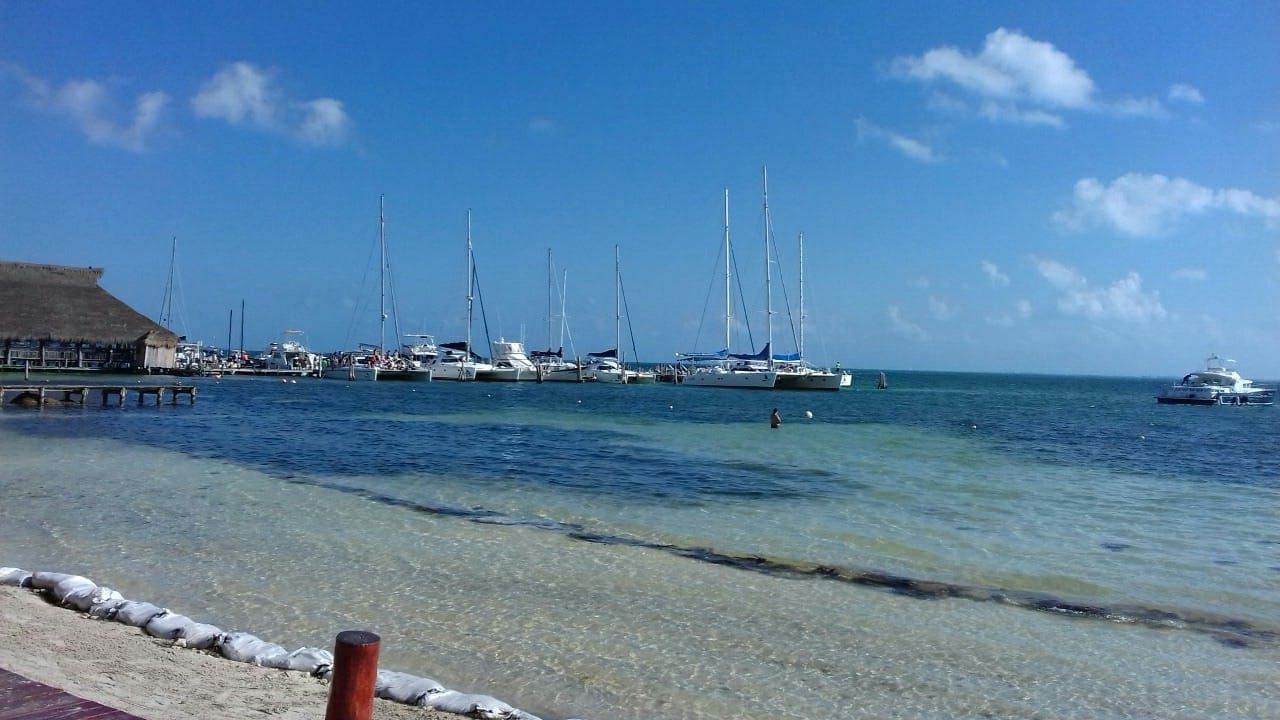 Custom Built 37 | Oh La La