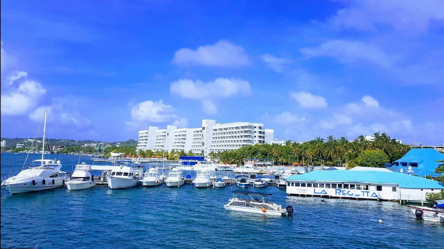 Custom Built 30 | Sapphire