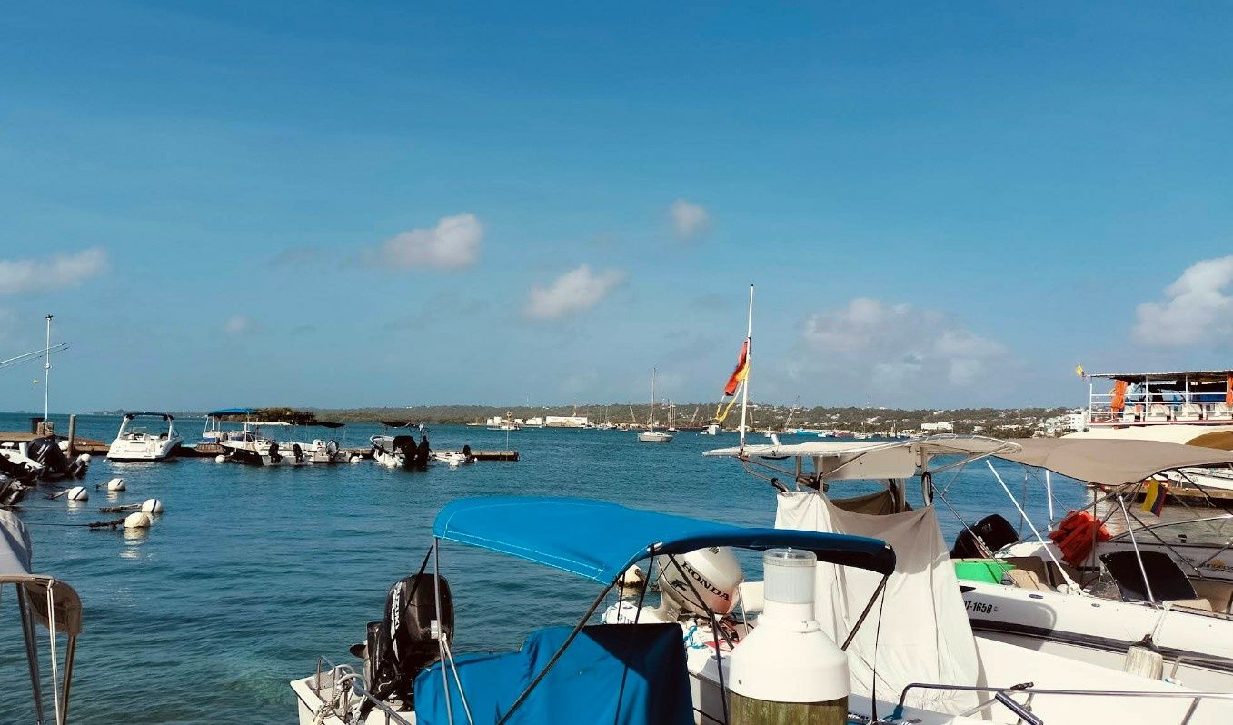 Custom Built 30 | Sapphire