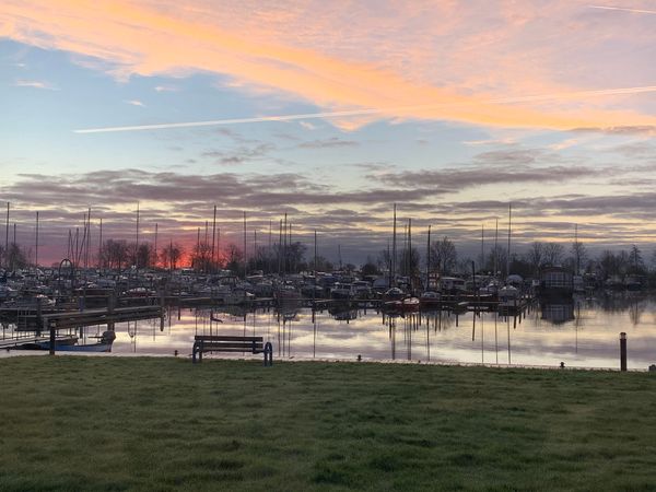 Irnzor 1220 | Rhapsody