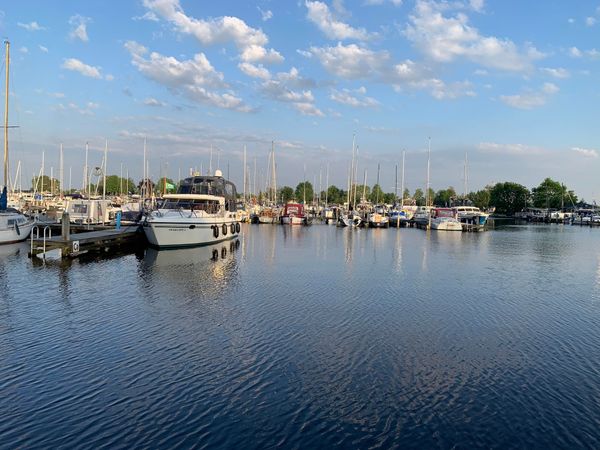 Irnzor 1220 | Rhapsody