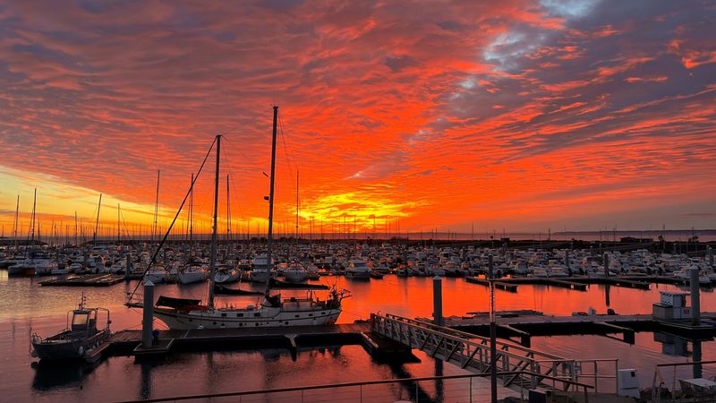 Jeanneau Sun Odyssey 379 | Corail