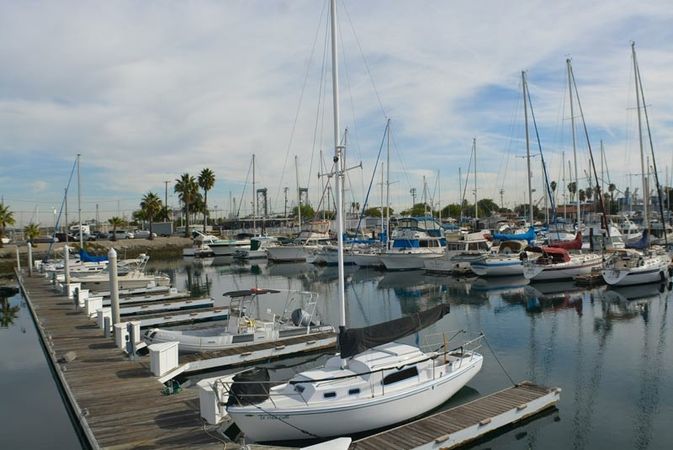 Maiora 100 | Lady Sofia