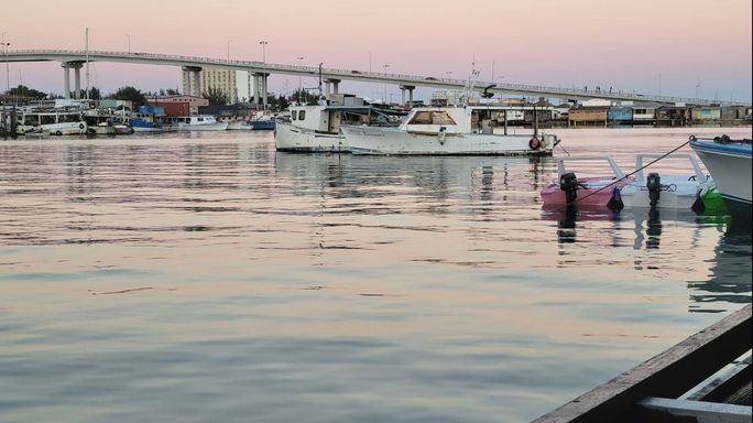 Malcom's park marina