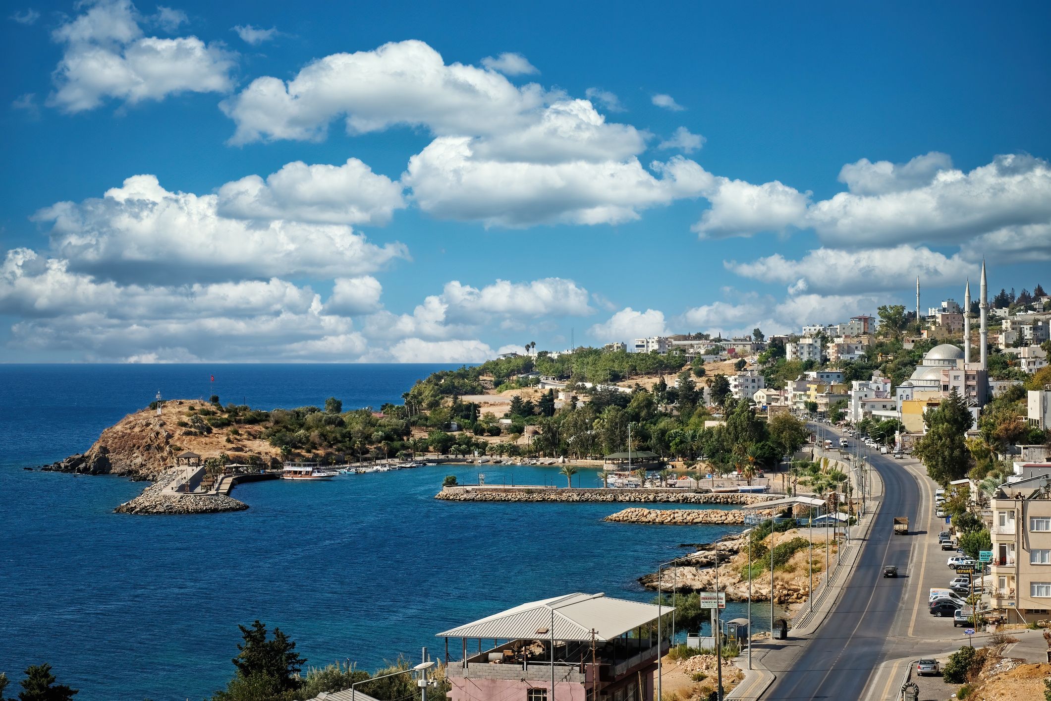 Custom Built 49 | Mr. Arden