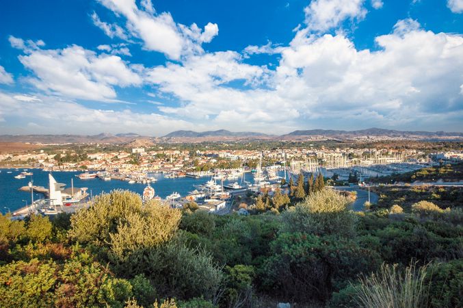 Quicksilver 805 | Plana