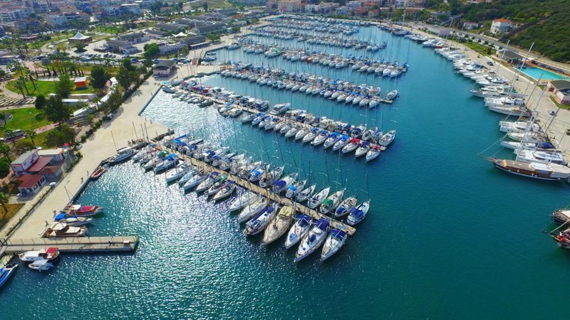 Quicksilver 805 | Plana