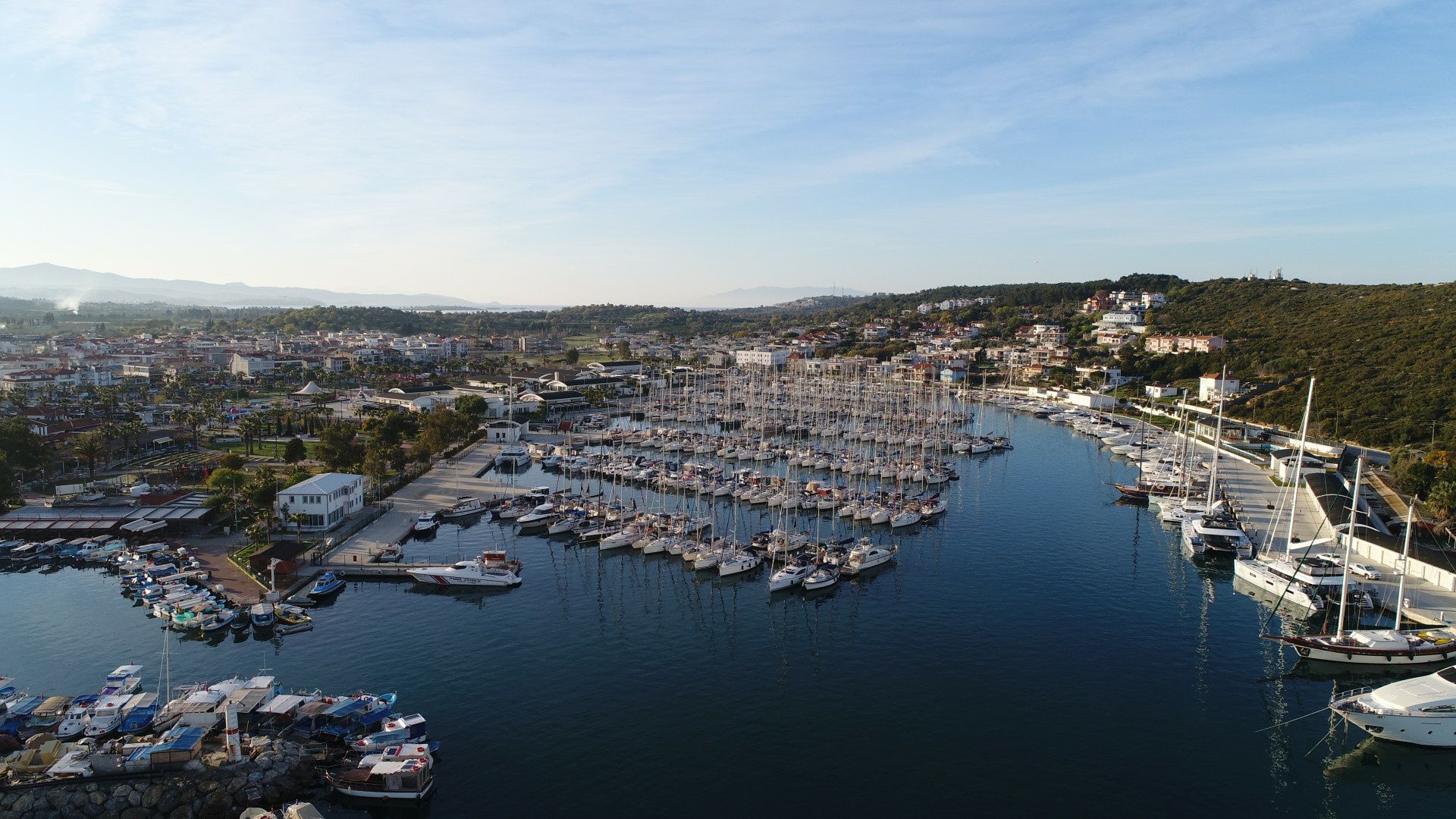 Quicksilver 805 | Plana