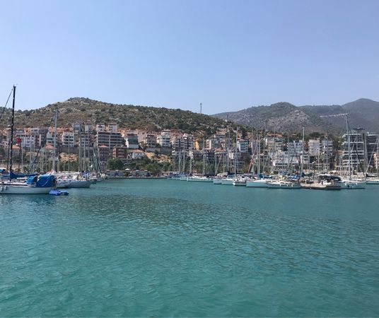 Sea Star 600 S | Blackstone