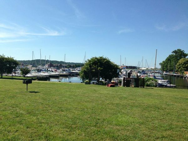 Stingray 225 CR | Eddi