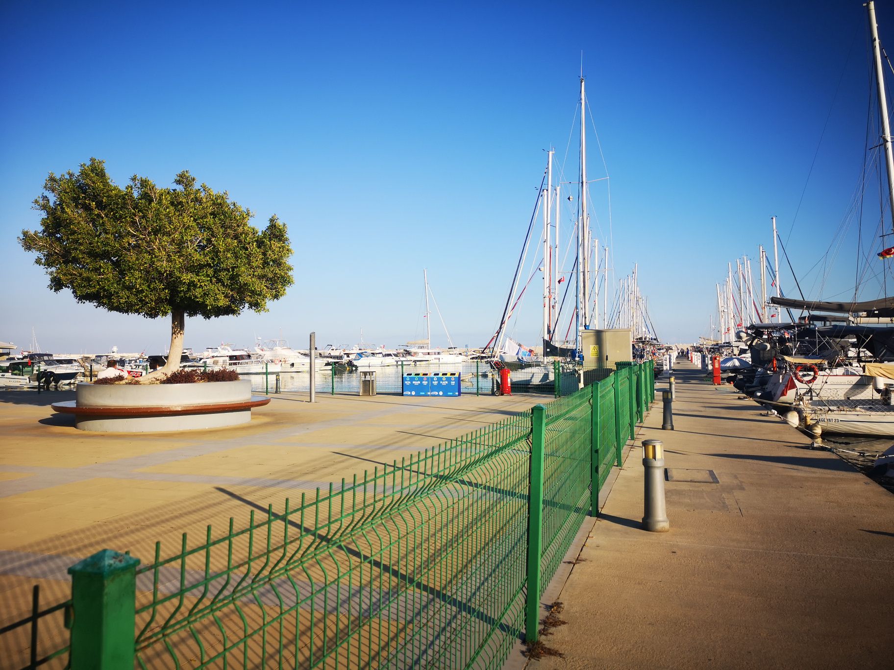 Custom Built 49 | Mr. Arden