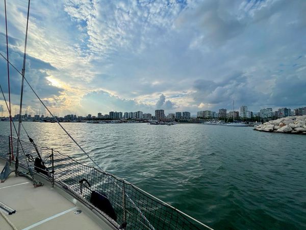 Custom Built 49 | Mr. Arden