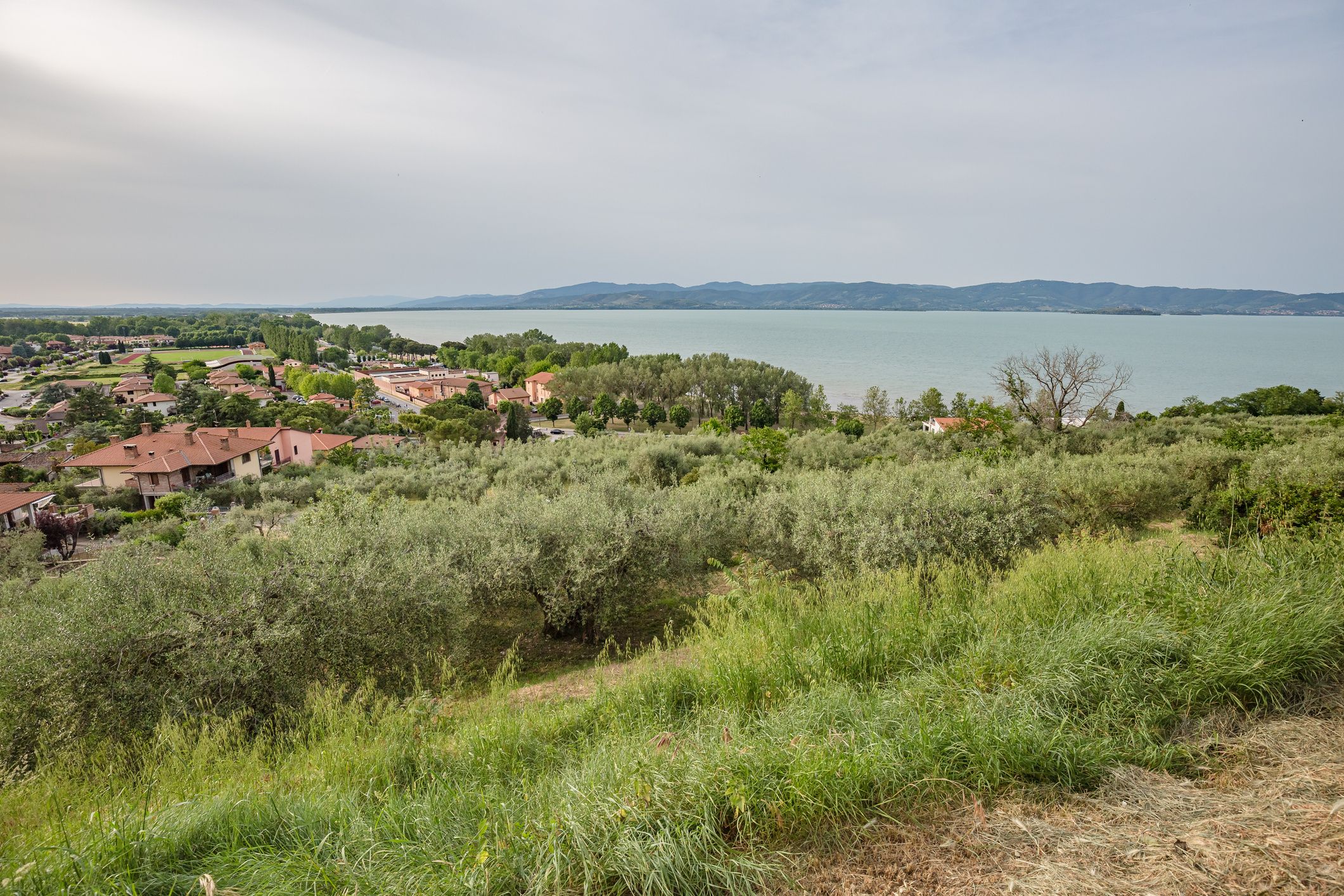 Tuoro sul Trasimeno