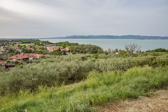 Tuoro sul Trasimeno