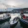 Sunseeker Predator 60 | Bestiolina