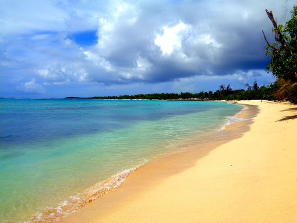 Pacific Craft 545 Open | Maui