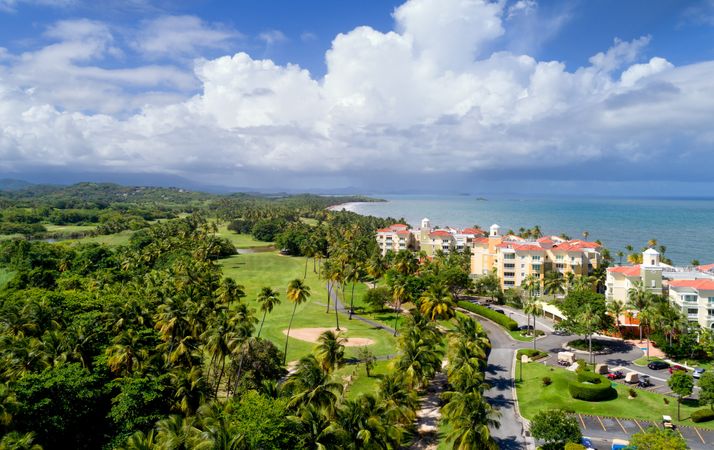 Benchmark 38 | Matt's Cat