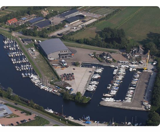 Nicols Estivale Quattro B | Gold Wave