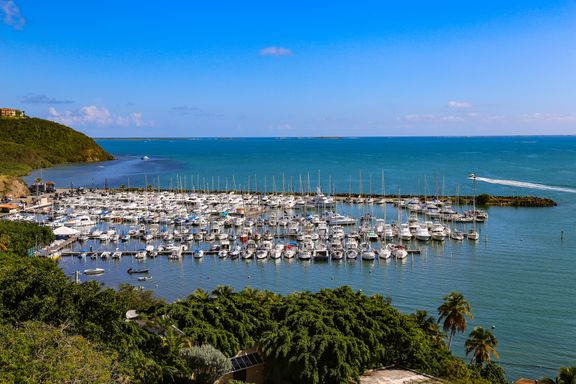 Marina Puerto Chico