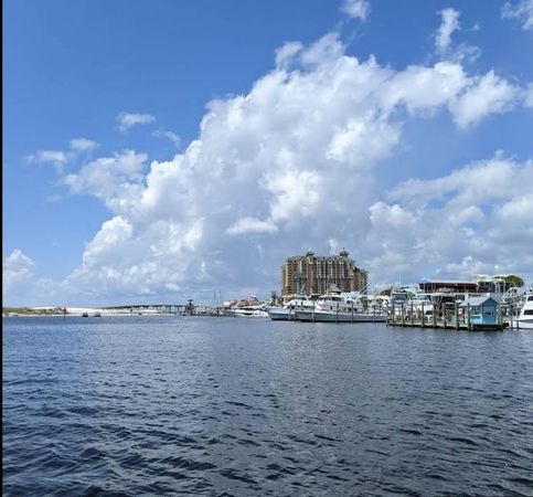 Beachcat Tiki 26 | The Pink Dolphin