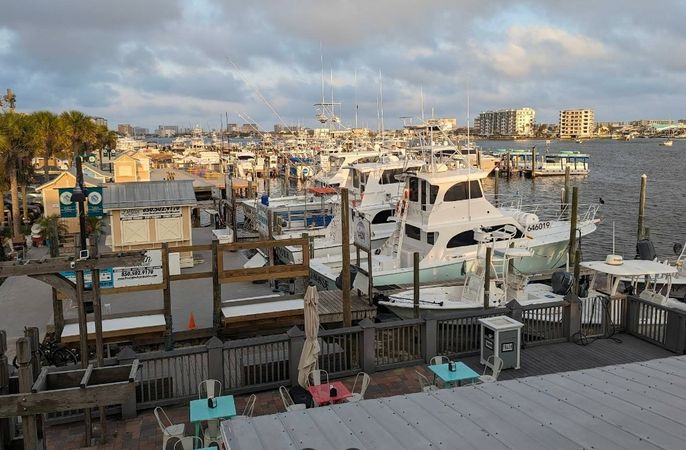 Beachcat Tiki 26 | The Pink Dolphin