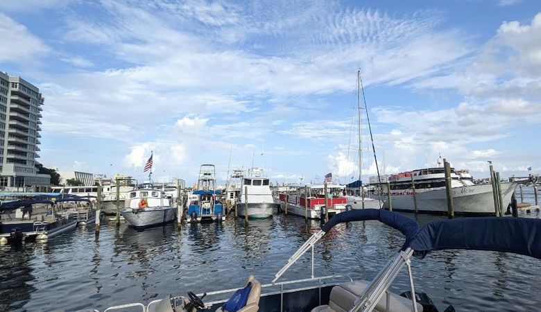 Beachcat Tiki 26 | The Pink Dolphin